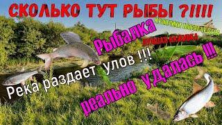 СКОЛЬКО ТУТ РЫБЫ!  РЕКА РАЗДАЕТ УЛОВ.  РЫБАЛКА  РЕАЛЬНО  УДАЛАСЬ!!!