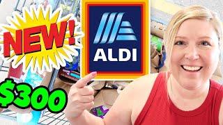 We are doing something NEW!  $300 Aldi Grocery Haul