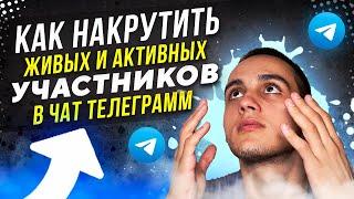 Как накрутить ЖИВЫХ и АКТИВНЫХ участников в чат Телеграмм | Накрутка telegram