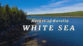 Природа Карелии - Белое море  Nature of Karelia - White Sea