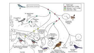 Biogepgraphy-CSIR Earth Science ||PB Group||