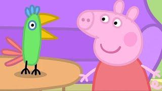 Peppa Looks After Polly the Parrot ️ Peppa Pig Full Episodes