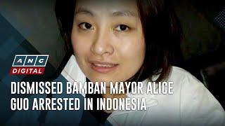 Dismissed Bamban mayor Alice Guo arrested in Indonesia | ANC