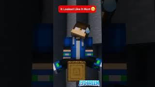 Eystreem Falls But Gone WRONG… / Minecraft Animation