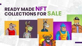 Pre-made NFT Collections for Sale | Readymade NFT | Shallu Narula