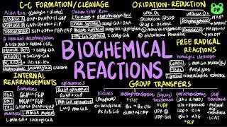 Biochemical Reactions | Principles of Metabolism 02 | Biochemistry | PP Notes | Lehninger 6E Ch.13