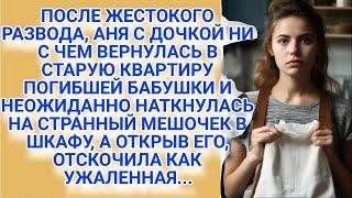 После развода Аня ни с чем вернулась в старую квартиру покойного отца, а найдя там в шкафу мешо