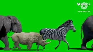 Jumanji animal stampede green screen