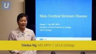 Male Urethral Stricture Disease: Signs, Symptoms and Treatment | Gladys Ng, MD | UCLAMDChat