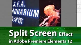 How to Create Split Screen Effect | Adobe Premiere Elements Training #8 | VIDEOLANE.COM