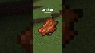 Fungsi tersembunyi rotten flesh⁉️ - #minecraft #shorts