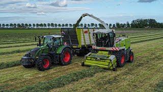 Gras Hakselen 2023 | Loonbedrijf 'De Vlijt' / Koopmans | Fendt 718 / 818, John Deere 7430, Claas 870