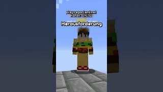 Ich habe versucht, REGOR.EXE zu helfen auf meinem Minecraft-Server!