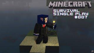 Minecraft Survival Singleplay # 007 (No Commentary)