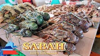 Exploring Sabah's Seafood Paradise: Lobster, Tiger Prawns & Crabs Galore! Malaysia Street Food