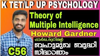 Theory of Multiple intelligence by Howard Gardner/ഗാർഡ്നറിന്റെ ബഹുമുഖ ബുദ്ധി സിദ്ധാന്തം/Psychology