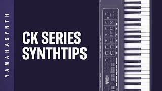 CK Tips | How To Store [OCTAVE] Settings To A Live Set For One Section individually