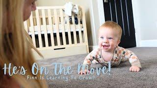 On The Move!! Finn Is Almost Crawling!!