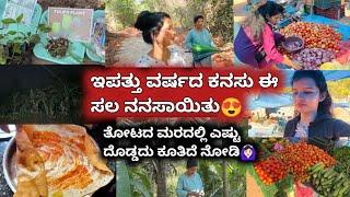 ಇಪತ್ತು ವರ್ಷದ ಕನಸು ಈ ಸಲ ನನಸಾಯಿತುತೋಟದ ಮರದಲ್ಲಿ ಎಷ್ಟು ದೊಡ್ಡದು ಕೂತಿದೆ ನೋಡಿ‍|Kannada vlogs |