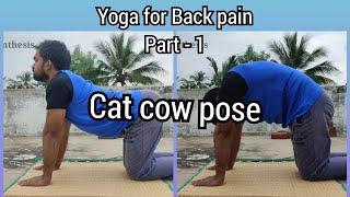 Yoga for back pain 1 | Cat cow pose | Tamil | Senthilnathan