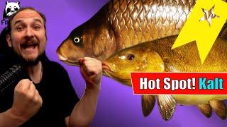 Russian Fishing 4 - Kupfersee - Hot Spot! Schleie und F1