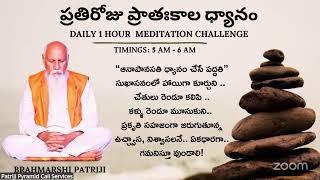 Meditation With Patriji Flute Music