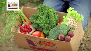 Fruit & Veggie Delivery - Farm Fresh To You