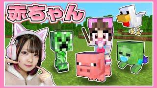 赤ちゃんだけの世界でサバイバルした結果…？【マイクラ / Minecraft】【たまちゃん】