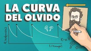 La curva del olvido | Tips para planificar el estudio