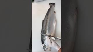 amazing fish cutting skill #shortsvideo #fishcutting #fish #fishing #youtubeshorts