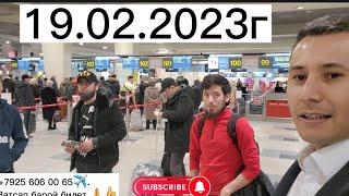 АЭРОПОРТ ДОМОДЕДОВО 19.02.2023г