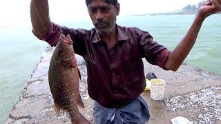 Time to Mangrove Jack & Grouper Fishing in Beautiful Rainy Day