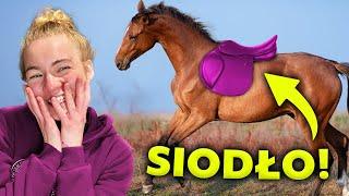 FOALS' FIRST SADDLE?! | Dila smashed her hoof