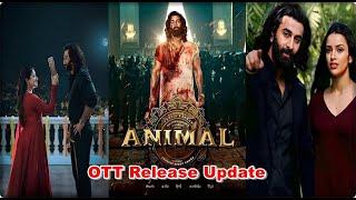 ANIMAL Movie OTT Release Update | Ranbir Kapoor | Rashmika | Sandeep Vanga | Bobby Deol |