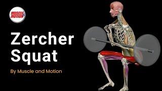 Mastering the Zercher Squat: Enhance Strength with Perfect Form