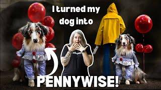 Creative Dog Halloween Photoshoot | How I Turned My Dog Into Pennywise The Clown!