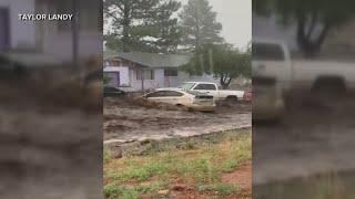 Owner of Prius swept by flash flood describes viral video