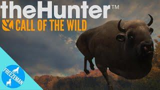 Exploring European Bison Zones! TheHunter: Call Of The Wild