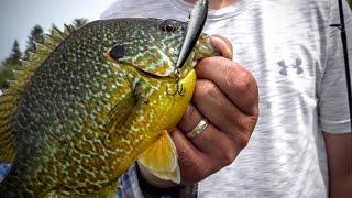 Ultra Light Crankbaits for Panfish