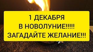 ️ 1 Декабря в НОВОЛУНИЕ Загадайте Желание 