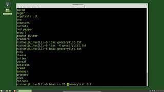 Linux Command Line (07) Viewing Files (cat, more, less, head, tail)