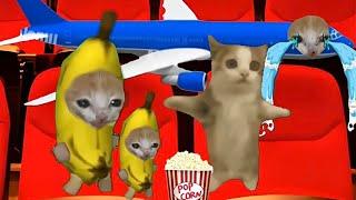 Baby Banana Cat Cry and Happy Videos #15 