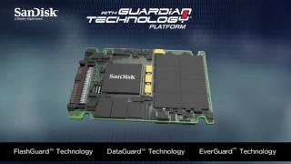 The First 4TB Capacity SAS SSD -- Optimus MAX™ SSD
