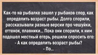 Как На Сельской Свадьбе Пропал Жених! Сборник Свежих Весёлых Анекдотов! Юмор! Позитив!