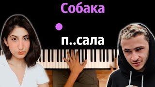 Собака п..сала (полная версия) | Rozalia & Джарахов ● караоке | PIANO_KARAOKE ● ᴴᴰ + НОТЫ & MIDI