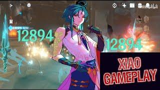 Xiao Gameplay Domain Geo Slime - Genshin Impact