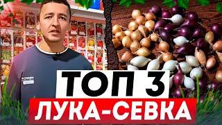 Топ 3 популярных лука-севка #семена #лук #огород