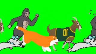 cartoon animals stampede green screen‼️