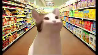 Skittles meme (Pop Cat)