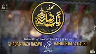 Rafique Qadri & Shadab Razavi Sahab-Mix Kalaam-Mehfil E Rang E Raza 2020-